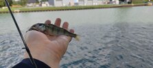 IMG_20250802_132103.jpg