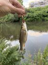 IMG_4027.jpeg