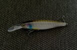 IMG_0664.jpeg