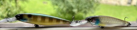 IMG_0665.jpeg