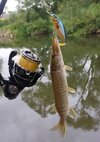 IMG_20250803_104641.jpg