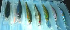 20250804_073850.jpg
