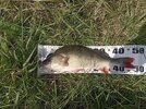 IMG_20250803_115330.jpg