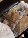 IMG_0030.jpeg