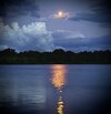 IMG_1379.jpeg