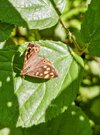 IMG_20250806_131325~2.jpg