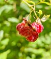 IMG_20250806_131246~2.jpg