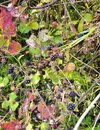 IMG_20250806_132936~2.jpg