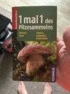 IMG_4196.jpeg