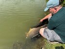 IMG_2030.jpeg