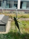 IMG_20250807_144817_Bokeh.jpg
