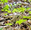 IMG_20250808_133117~3.jpg