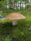 PXL_20250806_142941330.jpg