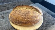 IMG_0345.jpeg