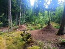 IMG_20250805_104018_808.jpg