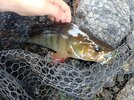 IMG_20250808_165356_530 (2).jpg