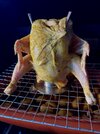 IMG_0503.jpeg