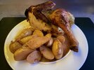 IMG_0507.jpeg