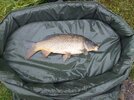 DSC_8877.JPG