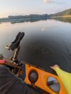 1000007080.jpg 1000007080.jpg
