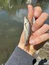 IMG_5663.jpeg