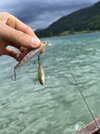 IMG_6860.jpeg
