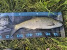 IMG_20250810_183751.jpg