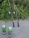 PXL_20250809_181952778.jpg