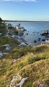 IMG_4525.jpeg