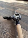 IMG_3317.jpeg