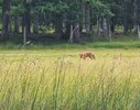 20250812_170933.jpg