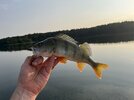IMG_5641.JPEG