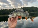 IMG_5622.JPEG