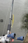 IMG_6978.jpeg