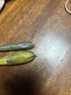 IMG_0641.jpeg