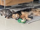 IMG_9566.jpeg