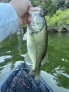 IMG_6313.jpeg