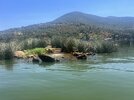 IMG_6323.jpeg