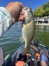 IMG_6316.jpeg