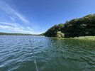 IMG_3945.jpeg