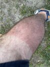 IMG_3947.jpeg