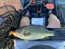 IMG_6366.jpeg