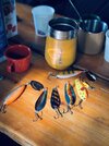 IMG_5981.jpeg