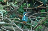 DSCF6767.JPG