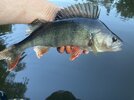 IMG_1696.jpeg