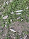 IMG_4670.jpeg