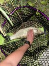 IMG_0262.jpeg