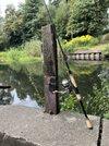 IMG_4050.jpeg