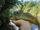 DSC_8956.JPG