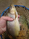 DSC_8953.JPG
